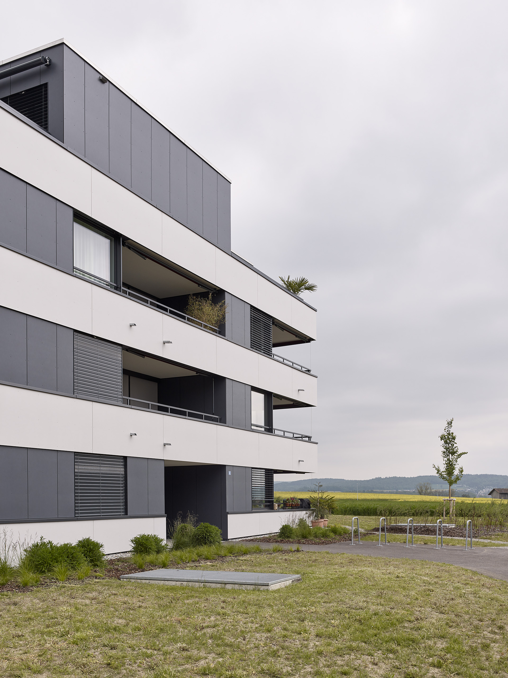 E18686 Alpa 088617 SCREEN